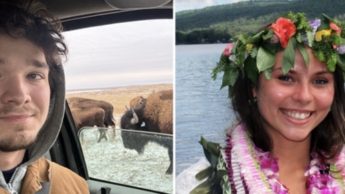 man with bison in background; woman wearing Hawaiian flower lei